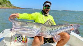Tanto con señuelos como con carnada natural, se están obteniendo ejemplares realmente grandes.