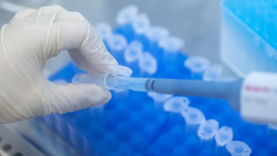 GlaxoSmithKline Plc y CureVac NV unieron fuerzas para crear vacunas con tecnología de ARN mensajero de última generación para combatir nuevas variantes del coronavirus