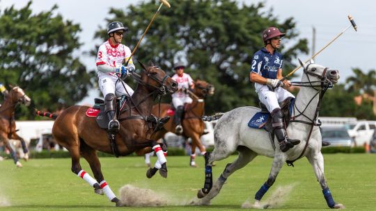 PARTIDO DE POLO