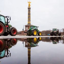 Berlín: los tractores se paran en la calle 17. Juni durante una protesta de los agricultores para exigir mejores condiciones de trabajo y contra las medidas Corona. | Foto:Christoph Soeder / DPA