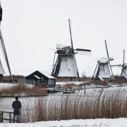 La nieve cubre un campo mientras un hombre se para frente a los molinos de viento en el pueblo de Kinderdijk. | Foto:Kenzo Tribouillard / AFP