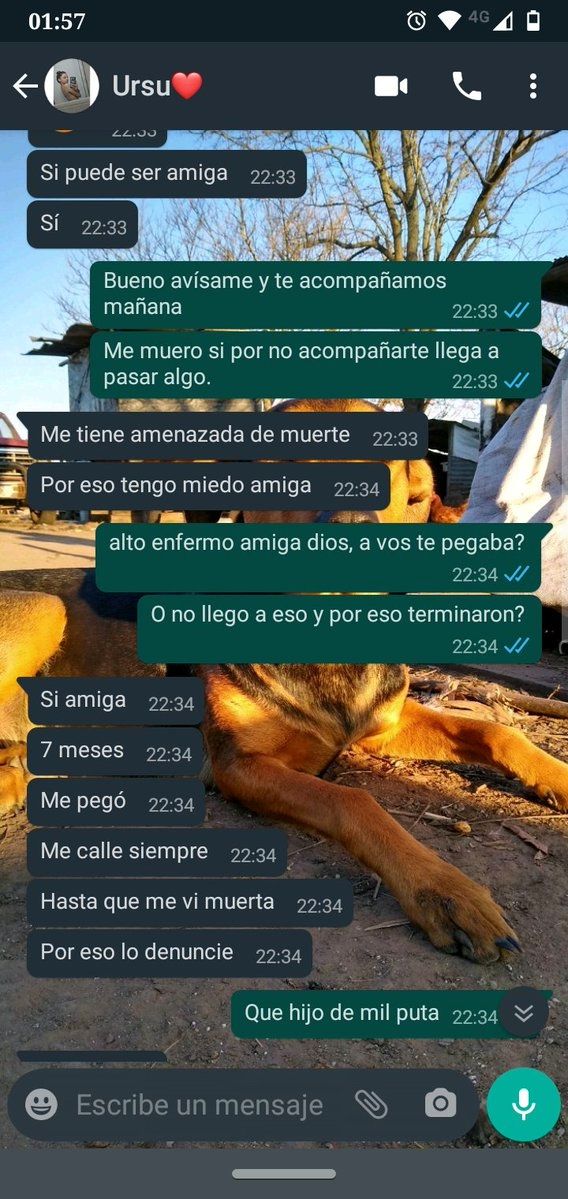 Chats de Úrsula Bahillo previo al femicidio.