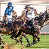 “FACU” SOLA, EN EL POLO DE DUBAI