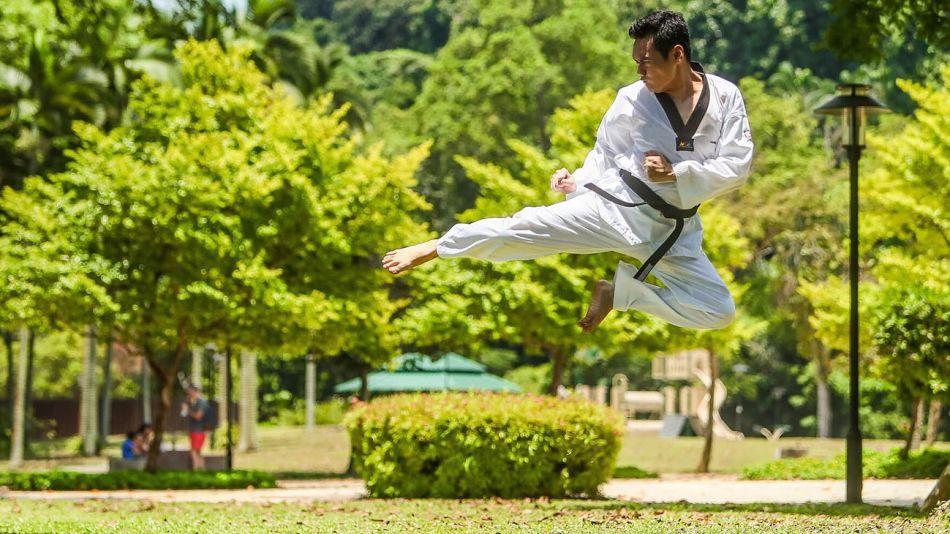 Artes marciales 20210209