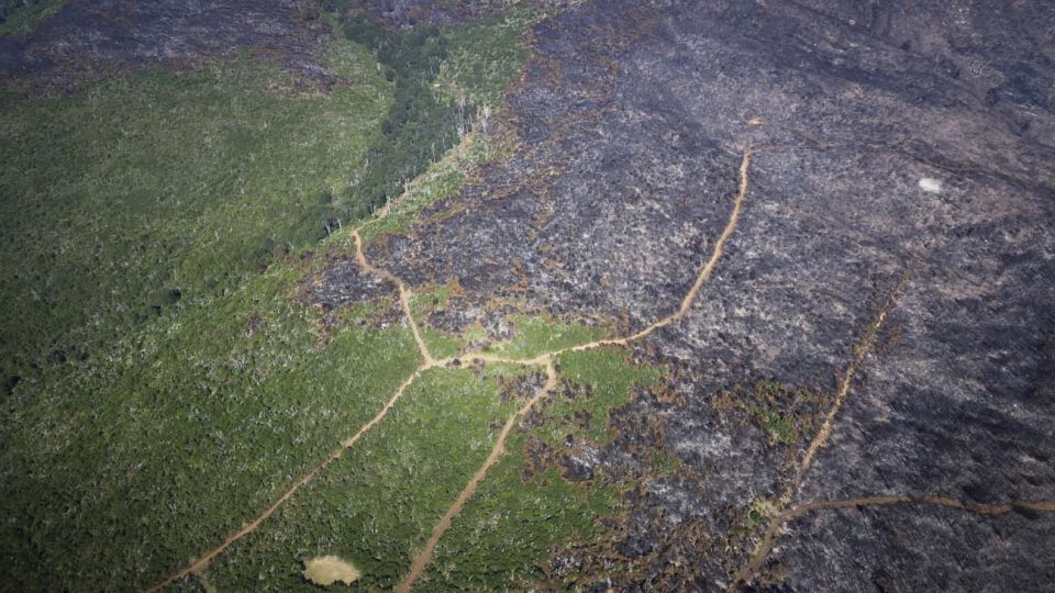 INCENDIOS EN EL BOLSÓN