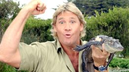 ¿Cómo murió Steve Irwin, el famoso cazador de cocodrilos?