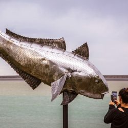 Con participantes residentes de Puerto Santa Cruz, la VI Fiesta Nacional del Róbalo y el 19° Concurso de Pesca Las 12 Horas del Róbalo arrancan el viernes con los más pequeños. 