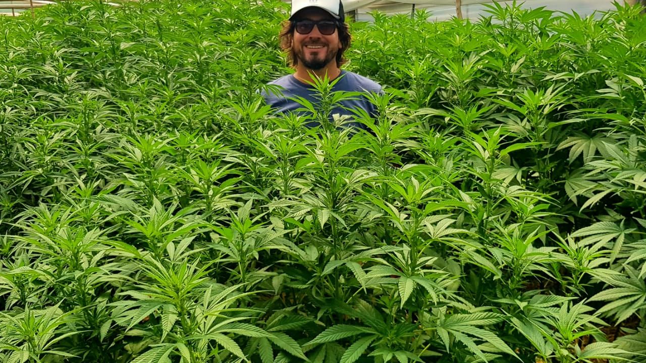 Facundo Garretón en uno de los cultivos de cannabis que administra en Uruguay | Foto:CEDOC