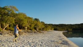 - El sol matinal ilumina las orillas del lago McKenzie, en la Isla Fraser. Foto: Florian Sanktjohanser/dpa