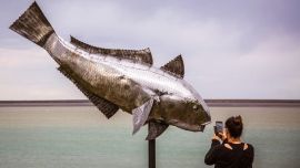 Con participantes residentes de Puerto Santa Cruz, la VI Fiesta Nacional del Róbalo y el 19° Concurso de Pesca Las 12 Horas del Róbalo arrancan el viernes con los más pequeños.