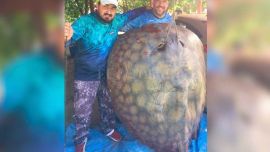 Para sacar semejante monstruo del agua estuvieron más de dos horas; pero momentos más tarde se realizó una denuncia ante el Ministerio de Ambiente de Santa Fe.