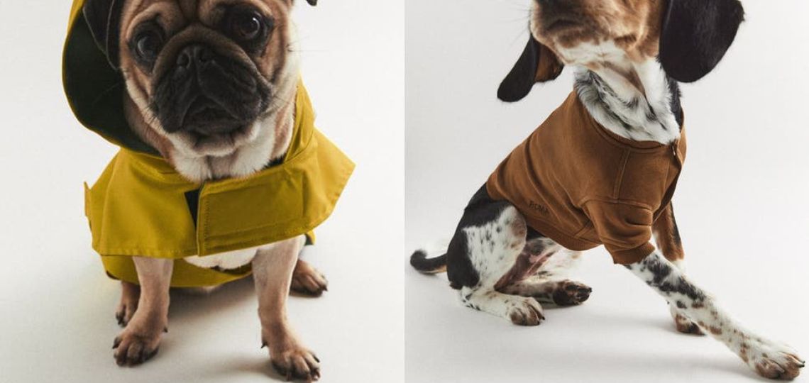 Zara lanza su línea de ropa para perros
