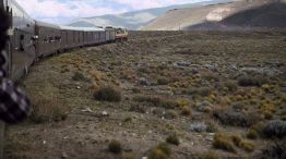 ¿Vuelve el tren Buenos Aires-Bariloche?