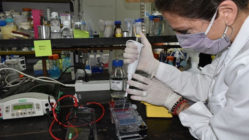 El Grupo de Nanomedicina Veterinaria está relacionado con el desarrollo de nanovacunas.