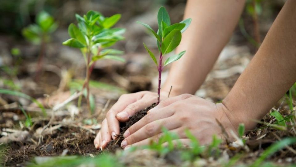 El 2021 será un año muy marcado por la agenda ambiental