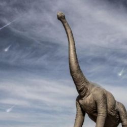 La polémica por la verdadera causa de la extinción de los dinosaurios volvió a resurgir. 