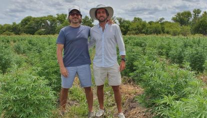 Facundo Garretón, ex diputado del PRO, y el abogado Sebastián Hochbaum son los argentinos dueños de Blueberries