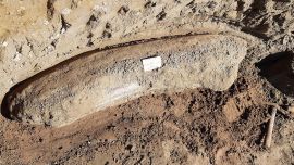 Fueron encontrados decenas de restos fósiles de gliptodontes y de los antepasados prehistóricos del elefante y del caballo que habitaron hace más de 10.000 años.