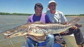 Se está trabajando en normas y protocolos sanitarios que permiten la realización del evento.