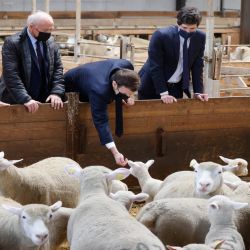 El presidente francés Emmanuel Macron (2 ° a la derecha) visita la granja "La Fermed'Etaules" con el ministro de Agricultura francés, JulienDenormandie (R) y el senador local FrancoisPatriat (2 ° a la izquierda) durante un viaje oficial de un día en Borgoña. | Foto:AFP