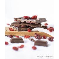 Cocoa Plant Based
