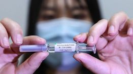 Llegada de la vacuna Sinopharm: "Genera una respuesta inmune en el 80% de los casos"