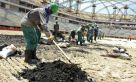 Qatar trabajadores