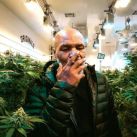 Mike Tyson dejó el Ring Side para dedicarse a la marihuana