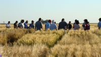 Productores agropecuarios.