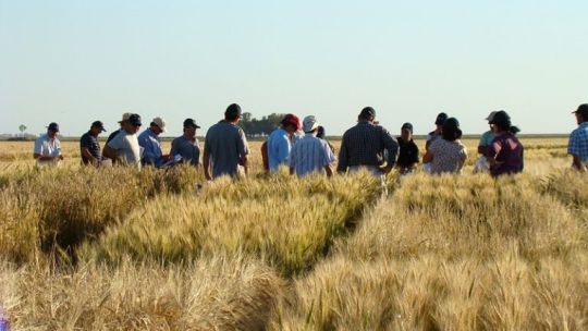 Productores agropecuarios.