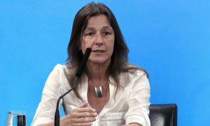 Sabina Frederic: "Hay un ensañamiento con Gildo Insfrán que es inadmisible"