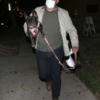 Disparos y secuestro: Lady Gaga sufre tras brutal ataque al paseador de sus perros, a quienes se llevaron