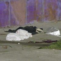 Disparos y secuestro: Lady Gaga sufre tras brutal ataque al paseador de sus perros, a quienes se llevaron