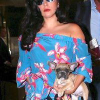 Disparos y secuestro: Lady Gaga sufre tras brutal ataque al paseador de sus perros, a quienes se llevaron