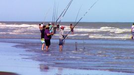 Los grandes chuchos serán la vedette en esta propuesta.