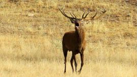 El hecho es que los grandes acontecimientos de la mitología se desarrollaron siempre en espacios enormes.