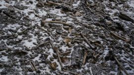 En 1492, un explorador indio descubrió los restos de cientos de individuos en el lago Roopkund.