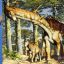 Titanosaur found in Patagonia may be oldest yet, says study
