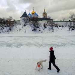 Una mujer juega con su perro en el estanque helado cerca del monasterio Novospassky en Moscú.  | Foto:AFP