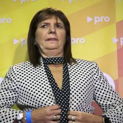 Patricia Bullrich la candidata del "núcleo duro".  | Foto:CEDOC