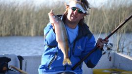 Pejes obtenidos en las lagunas boanerenses: Altos Verdes, Chis Chis y Adela.