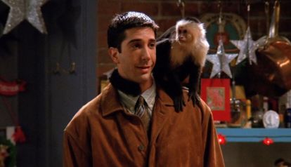 David Schwimmer