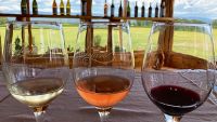 Guía para descubrir la ruta del vino cordobés
