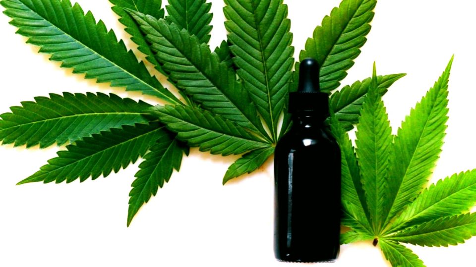 cannabis2021