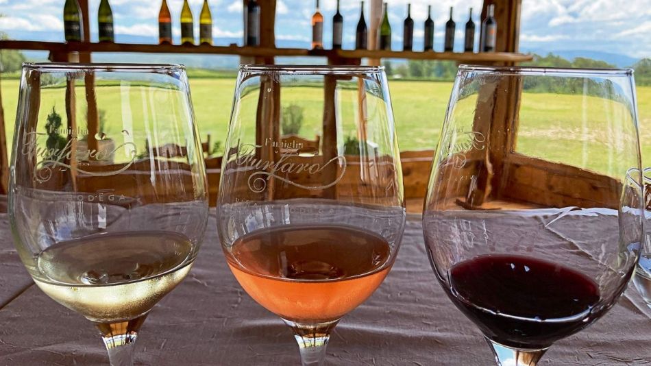 Guía para descubrir la ruta del vino cordobés