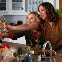 Amy Poehler hizo su debut como directora de una película con Entre vino y vinagre