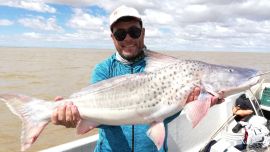Patíes en Berisso, provincia de Buenos Aires.
