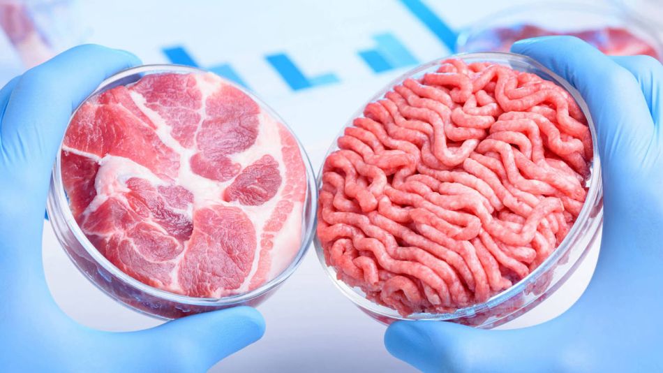 carne sintetica 20210309