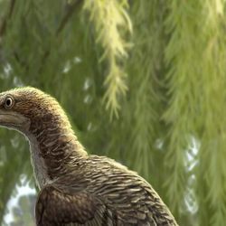 La nueva nueva especie de dinosaurio Trudeau vivió hace 66 millones de años. 