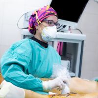 Dra. Inés Gelatti